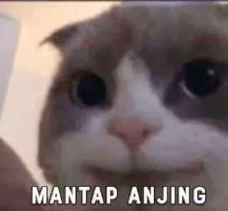 👍 emoji @Si_Akmal Kocheng unyu Telegram sticker 18 of 88