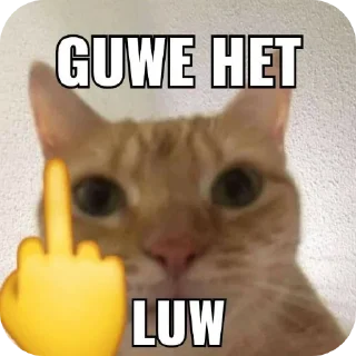 🐱 emoji Kocheng by Abell imut pacar heeseung Telegram sticker 15 of 98