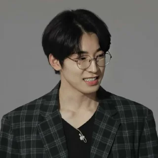 📍 emoji Wonwoo by @gdboyy Telegram sticker 19 of 41