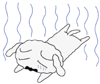 ❣️ emoji sʜɪɴᴄʜᴀɴ || @loltickers Telegram sticker 11 of 68