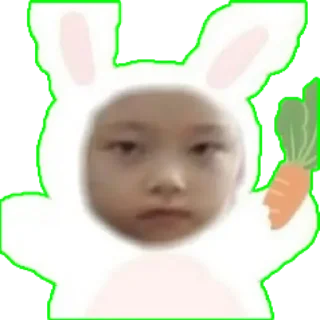 🐰 emoji Haerin Family🐱 @NWJNSSTICKER Telegram sticker 11 of 82