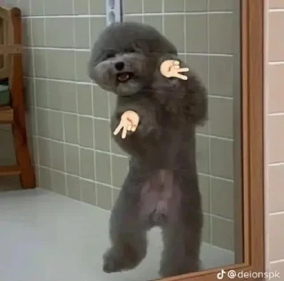 Sticker from Cute dog