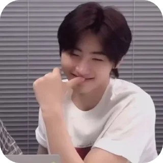 😼 emoji sunghoon Telegram sticker 17 of 17