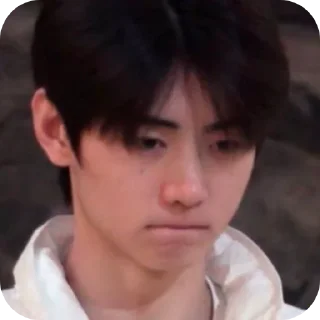 😞 emoji sunghoon Telegram sticker 9 of 17