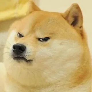 😠 emoji cheems Telegram sticker 13 of 47