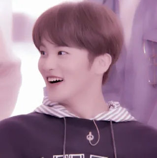 🍉 emoji +:‧₊ mark lee @stickernct Telegram sticker 21 of 30