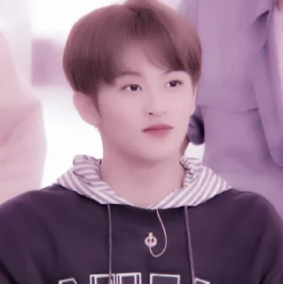 🍉 emoji +:‧₊ mark lee @stickernct Telegram sticker 19 of 30