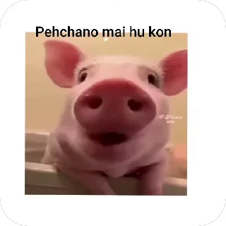 🙂 emoji Monster 💀 naam toh suna nhi hoga Telegram sticker 17 of 67