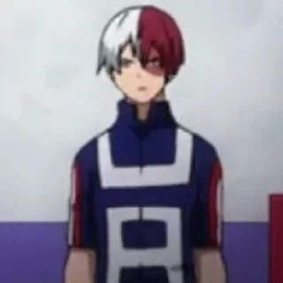 Sticker from Todoroki Shoto
