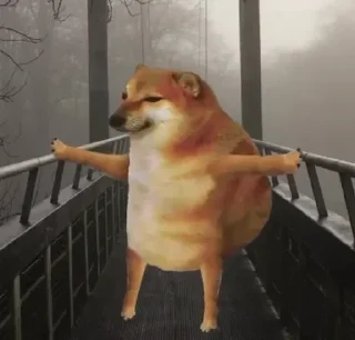 Sticker from Cheems Doge l @StIcKeRs_X_SoHaM l doggy