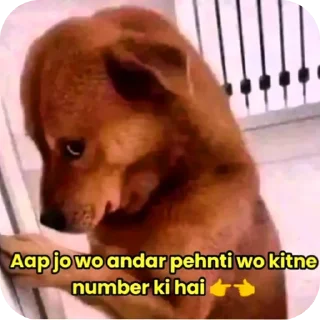 🐶 emoji @piyushsharma_007 Telegram sticker 17 of 59