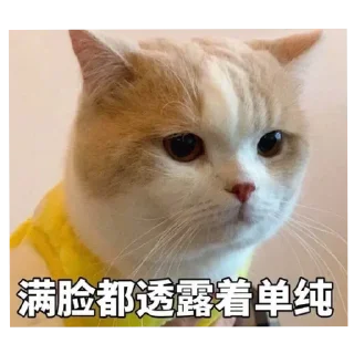 🐱 emoji 给月月用 Telegram sticker 9 of 49