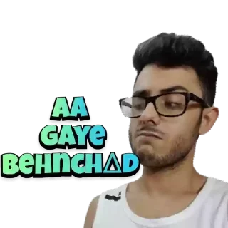 😉 emoji Carryminati Sticker 3 Telegram sticker 23 of 30