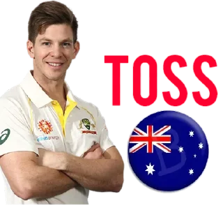 👍 emoji @SAMRAT_THE_KING_2019 CRICKET PACK Telegram sticker 13 of 74