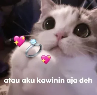 😍 emoji apa Telegram sticker 23 of 28