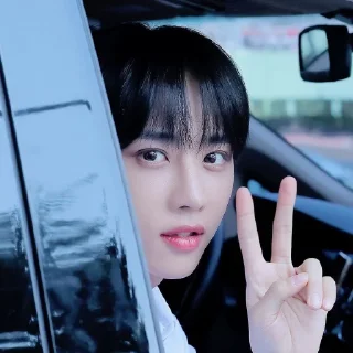 Sticker from sunwoo , 김 @pacarskz