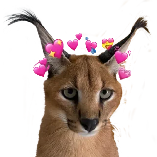 💜 emoji 味玉 Telegram sticker 5 of 107