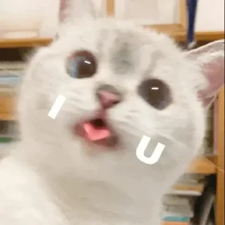 😘 emoji 857福利导航  @daohang_11 Telegram sticker 5 of 50
