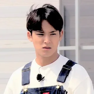 🧇 emoji 𓍼𓈒 mingyu — @stickerseventeen Telegram sticker 15 of 25