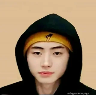 🤏 emoji Random sunghoon - @STARSX01 Telegram sticker 8 of 35