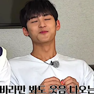 Sticker from Mingyu Roulette Life #2 @stikersvt