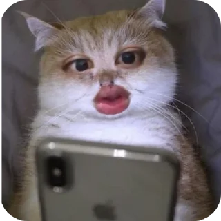 🐱 emoji lanlan imoet Telegram sticker 15 of 29