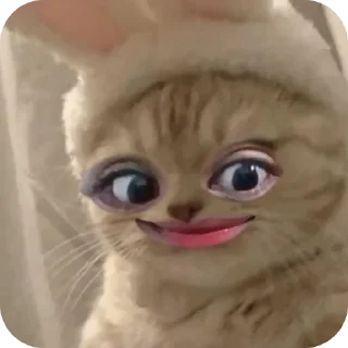 🐱 emoji lanlan imoet Telegram sticker 6 of 29