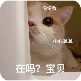 👍 emoji 哈哈🐷@gdthj Telegram sticker 14 of 60