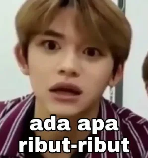 🥴 emoji meme bujang nct | @renjunieshi Telegram sticker 22 of 54