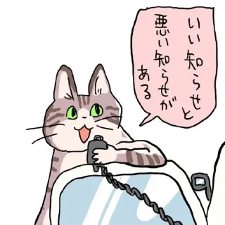 👍 emoji 現場猫 Telegram sticker 17 of 19