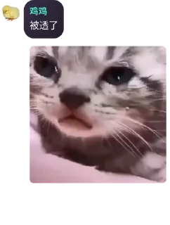 💿 emoji 不知名群组の逆天发言5 @btqtq Telegram sticker 14 of 120