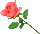 Sticker from الماس رضا