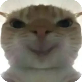 🐱 emoji 奇奇怪怪 @BGAP_BG Telegram sticker 10 of 48