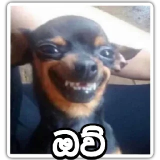 🤤 emoji Soul_hell_ official pack Telegram sticker 24 of 120