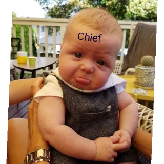 😄 emoji Chief Telegram sticker 17 of 43