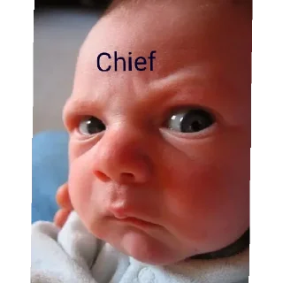 😄 emoji Chief Telegram sticker 22 of 43