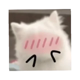 🥴 emoji asya asya asyaaa Telegram sticker 16 of 38
