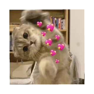 😻 emoji asya asya asyaaa Telegram sticker 18 of 38