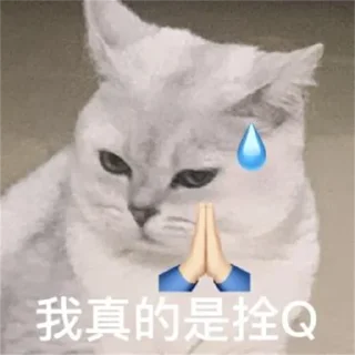 🙁 emoji 高防cdn【桃】：   @zhuanyefanyu Telegram sticker 19 of 120