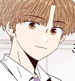 🕊 emoji Lee Jaemin Pack - @StickerAnimePack Telegram sticker 19 of 100