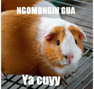 😱 emoji Campur cuy @cherwi Telegram sticker 23 of 37