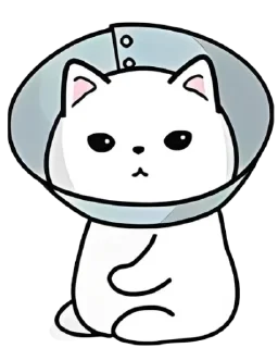 😐 emoji plato! ( subs @amorzite ) Telegram sticker 6 of 52