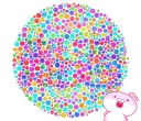 🤓 emoji 你有色盲的問題嗎? Telegram sticker 11 of 40