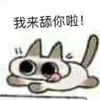 🐱 emoji 暹罗猫 Telegram sticker 13 of 35
