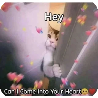 🐱 emoji Cats @telugustickerss Telegram sticker 14 of 21