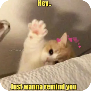 🐱 emoji Cats @telugustickerss Telegram sticker 16 of 21