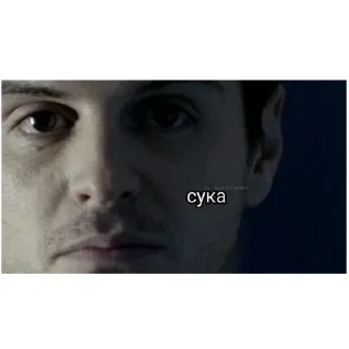 💀 emoji Майкрофт купи меня пожалуйста Telegram sticker 18 of 107