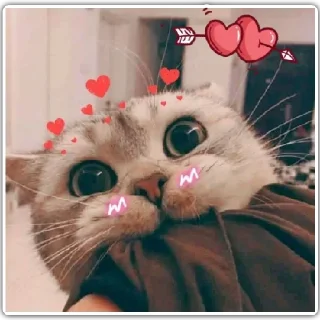 🥰 emoji ᴀɴᴏɴʏᴍᴏᴜs • 10 Telegram sticker 8 of 120