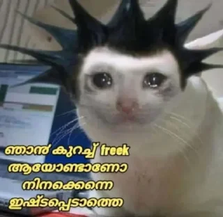 😿 emoji ᴀɴᴏɴʏᴍᴏᴜs • 10 Telegram sticker 17 of 120