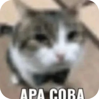 🤲 emoji pnya iyel jngn colong!! Telegram sticker 21 of 44